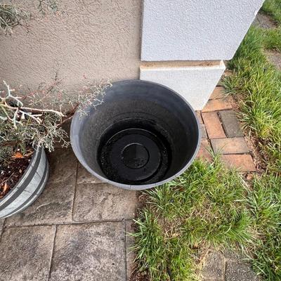 Whiskey Barrel Planters Plus Plant (FY-RG)