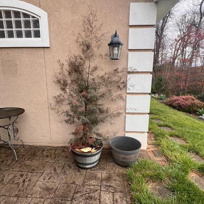 Whiskey Barrel Planters Plus Plant (FY-RG)