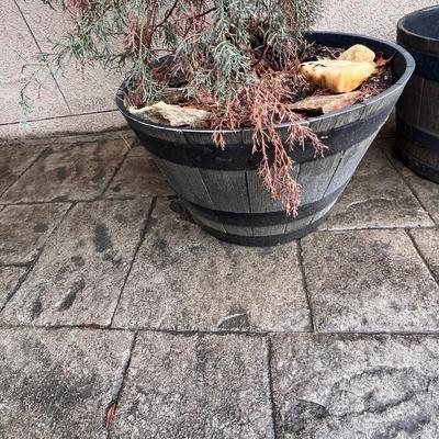 Whiskey Barrel Planters Plus Plant (FY-RG)