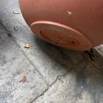 Five Plant Pots Full of Plants - Tulips, Succulents & More (FY-RG)