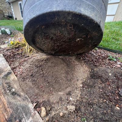 Five Plant Pots Full of Plants - Tulips, Succulents & More (FY-RG)