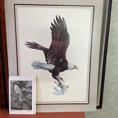 Eagle and Owl Print