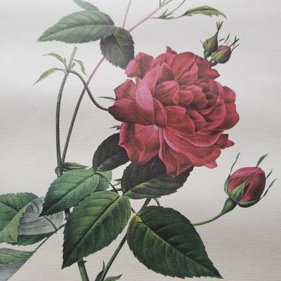 Vintage Floral Prints (GB-KD)