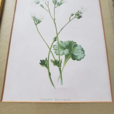 Vintage Floral Prints (GB-KD)