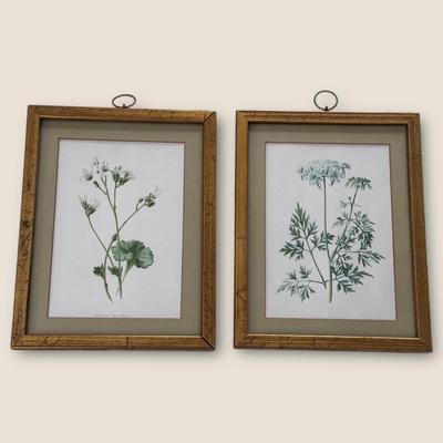 Vintage Floral Prints (GB-KD)