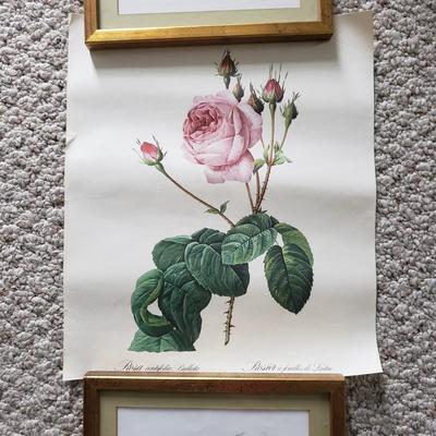 Vintage Floral Prints (GB-KD)