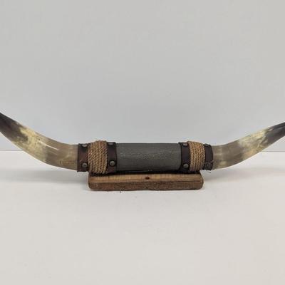 Mounted Steer Bull Horns