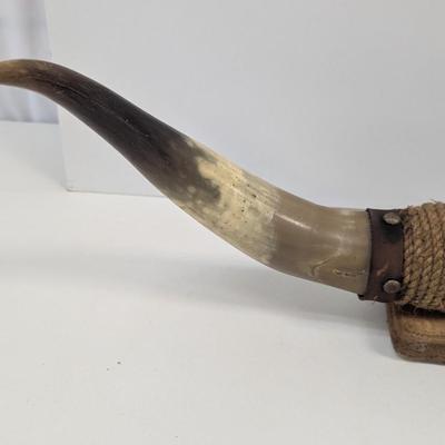 Mounted Steer Bull Horns