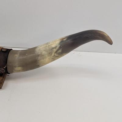 Mounted Steer Bull Horns