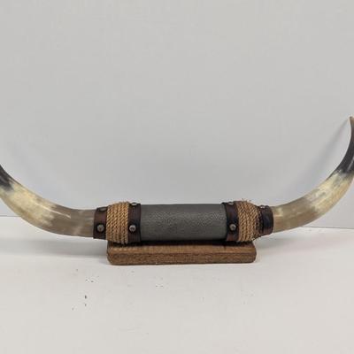 Mounted Steer Bull Horns