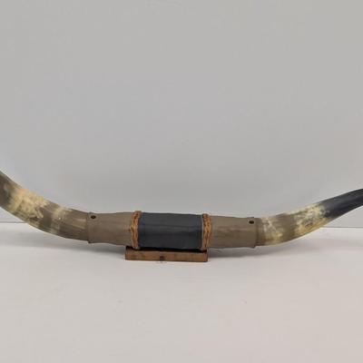 Made In Mexico Mounted Steer Bull Horns