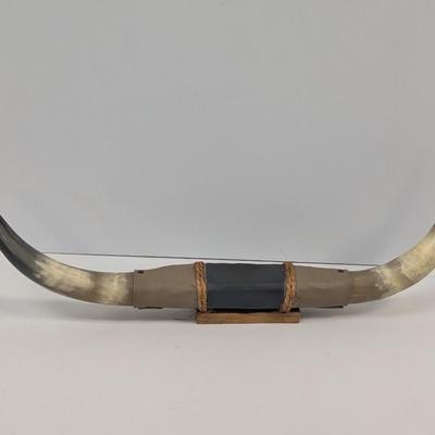 Made In Mexico Mounted Steer Bull Horns