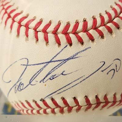 Julio Taverez OMLB Signed Autographed Baseball In Collectors Case