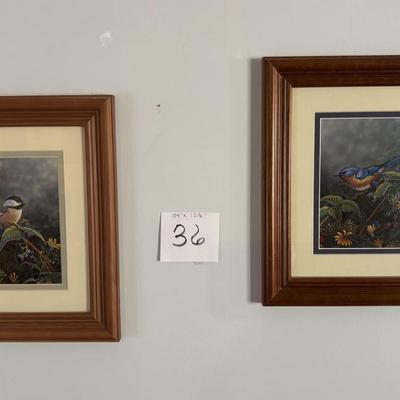 Pretty Birds Pictures