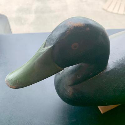 Decoy