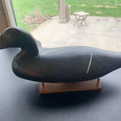 Decoy