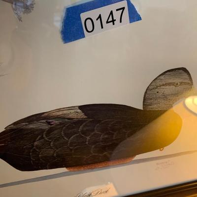 TWO Framed Duck Prints Robert Clontz