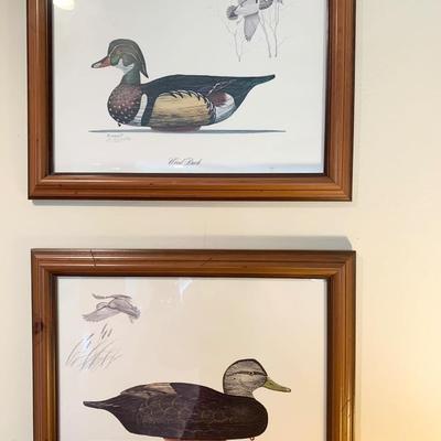 TWO Framed Duck Prints Robert Clontz