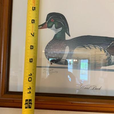TWO Framed Duck Prints Robert Clontz