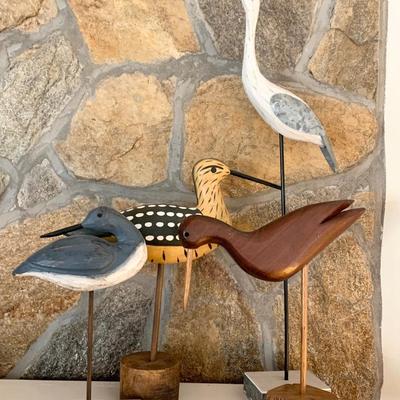 Shore Birds Lot