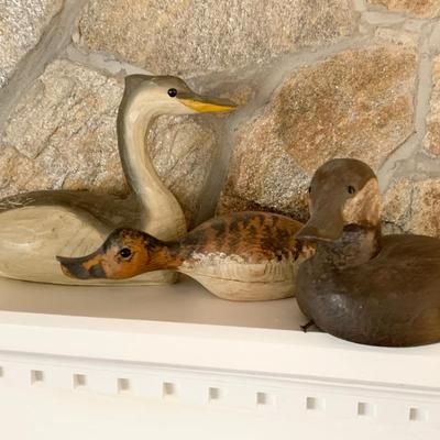 Waterfowl Lot