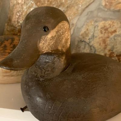 Waterfowl Lot