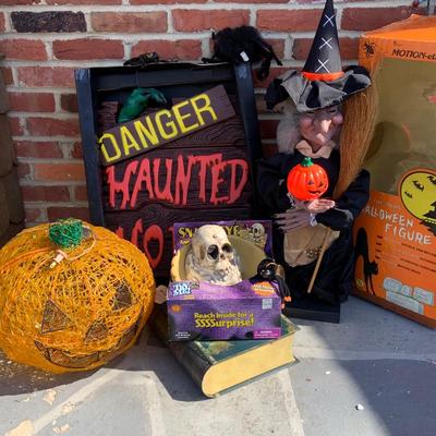 LOT 273: Collection of Halloween Indoor and Outdoor Decorations