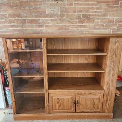 Book Shelf Entertainment 63x19x52