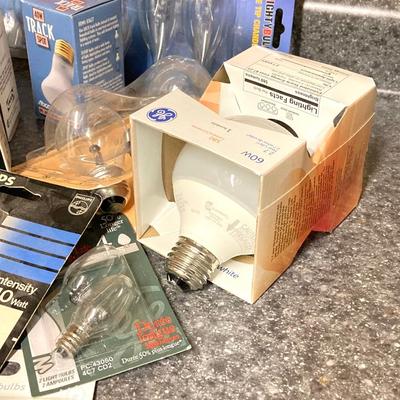 LOT 64U: Large Light Bulb Collection and Light Bulb Changer Pole
