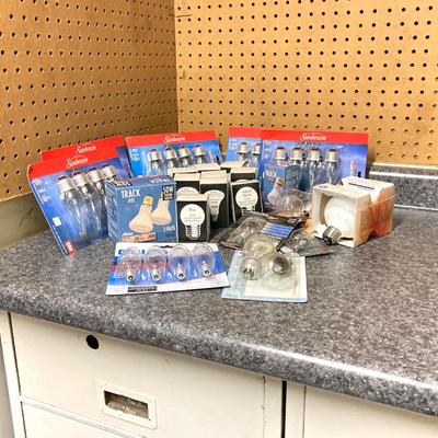 LOT 64U: Large Light Bulb Collection and Light Bulb Changer Pole