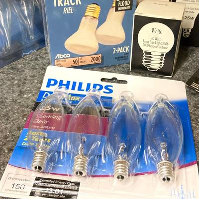 LOT 64U: Large Light Bulb Collection and Light Bulb Changer Pole