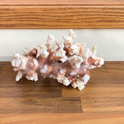 LOT 134X: Decorative Collection - Hand Crafted Wooden Basket, Coral, Driftwood and Copper Tone Handle Glass Bottle