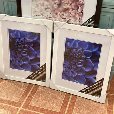 LOT 206B: Picture Frame Collection - NIP Included