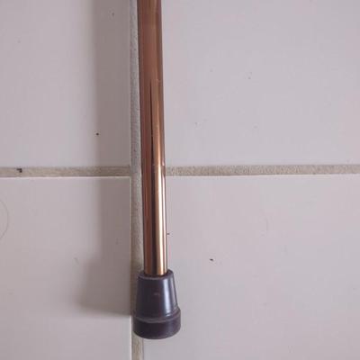 LOT 237L: Canes and Walker Gliders