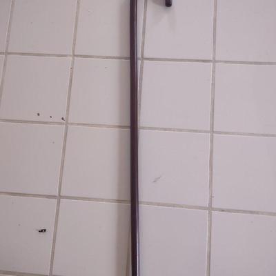 LOT 237L: Canes and Walker Gliders