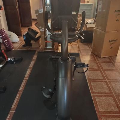 LOT 243: Schwinn Exercise Bike with Floor Mat