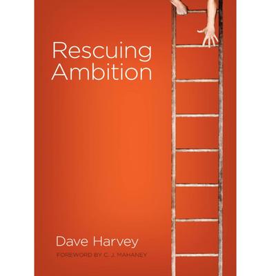Rescuing Ambition Paperback – April 14, 2010