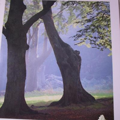 4 David Winter Cottage magazines for Collectors' Guild