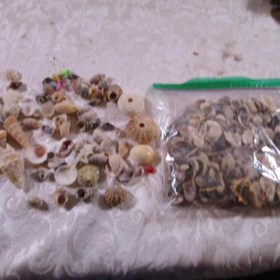 Shell collection #4 small shells