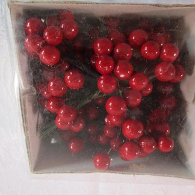 1 New box of 12 berry sets - each set has 12 berry pics