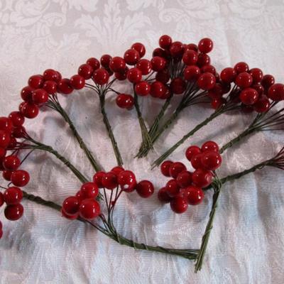 1 New box of 12 berry sets - each set has 12 berry pics