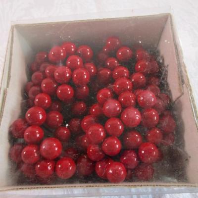 1 New box of 12 berry sets - each set has 12 berry pics