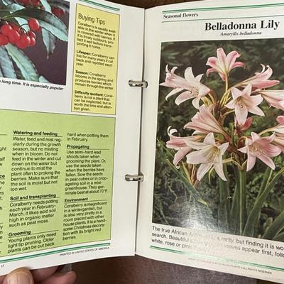 Vintage 1988 Success With House Plants 5 Volume Complete Set Gardening