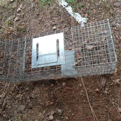 Live trap, chicken supplies