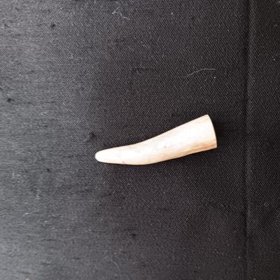 AUTHENTIC ANTLER CRIBBAGE BOARD