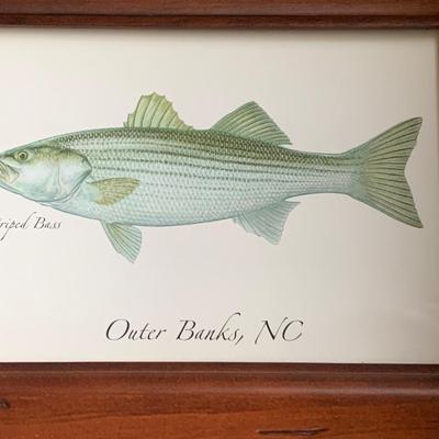 Nautical Art Lot