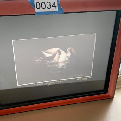 Signed Swans Art Framed
