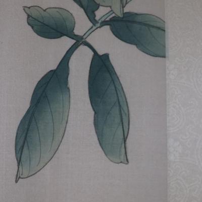 Framed Chinese Hand Painted Bird and Flowers on Silk