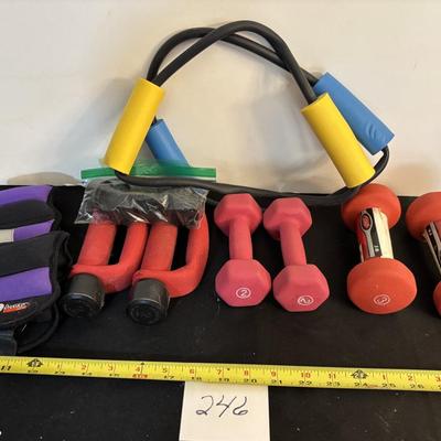 Fitness and Weight Lot