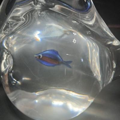 Murano glass fish - Elio Raffaeli Glass Fish Aquarium, Glass Aquarium Fish paperweight